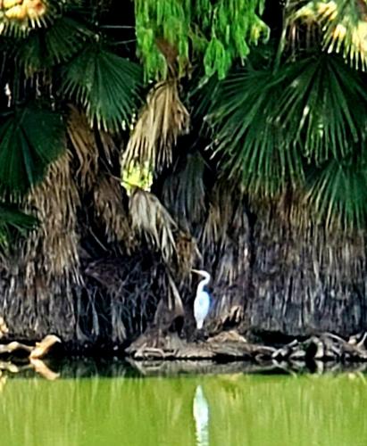 15:26:21 GMT-0800 (PST)