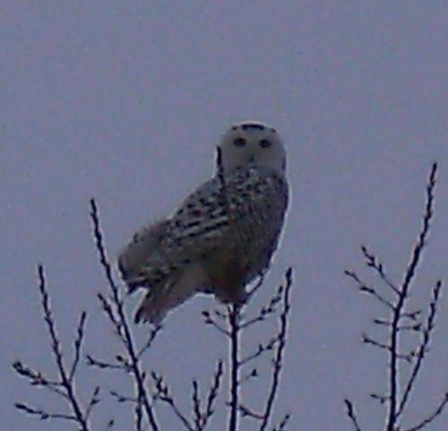 16:22:41 GMT-0600 (CST)