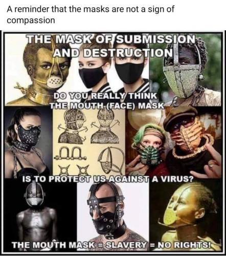 119683958_612093752808998_6817161978471329407_n