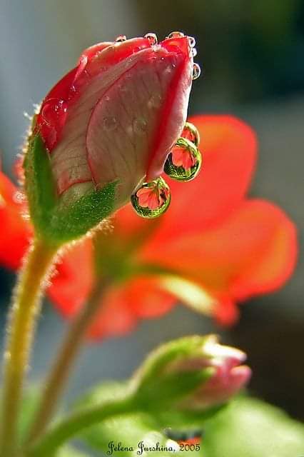 54155050_803921239975824_9033937947304394752_n