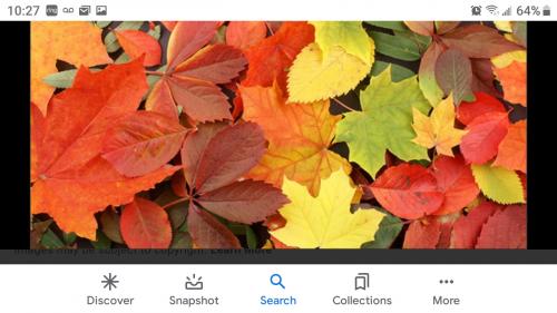 14:46:02 GMT-0500 (EST)