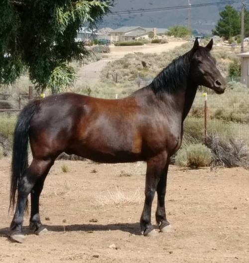 00:08:03 GMT-0800 (PST).png