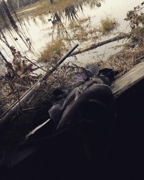 20:35:36 GMT-0600 (CST).image