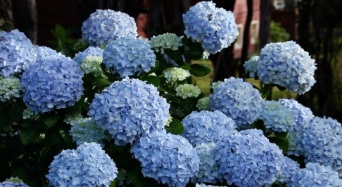 Screenshot_20200829-013311