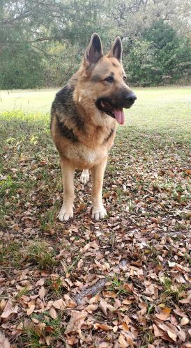 16:15:49 GMT-0600 (CST)