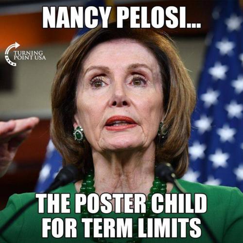 termlimitsposterchild