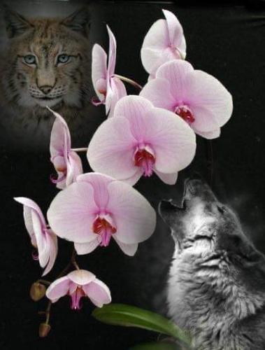 13:39:17 GMT-0600 (CST).image