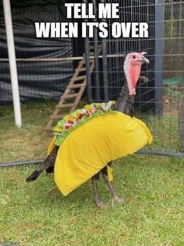 15:31:55 GMT-0500 (EST).image