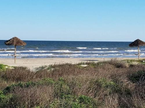 04:56:28 GMT-0600 (CST)