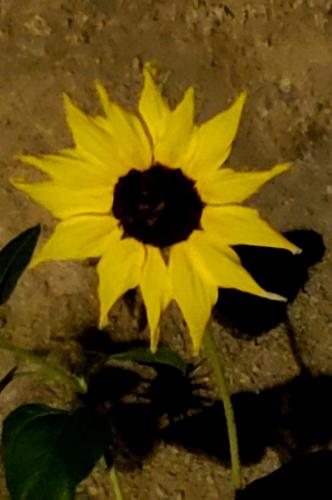 15:21:27 GMT-0800 (PST)