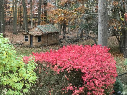 00:44:20 GMT-0500 (EST).image