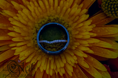 Melissa and Jeremy Wedding 2015 (502 of 266)