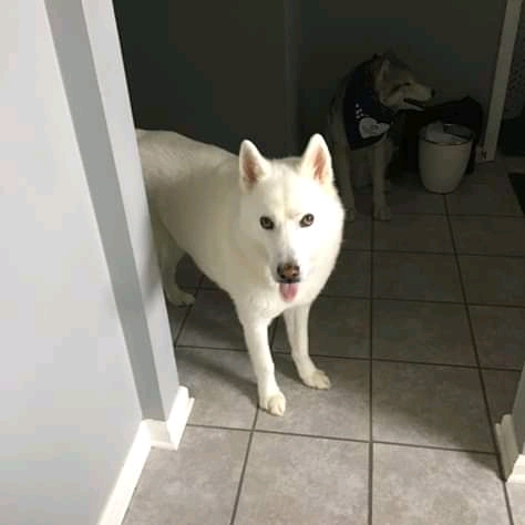 10:07:12 GMT+0100 (WAT)