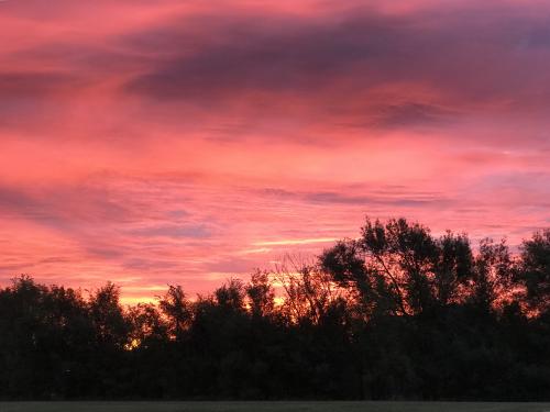 19:27:29 GMT-0600 (CST).image