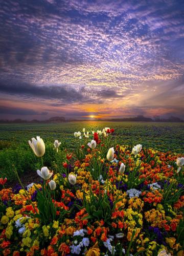 tumblr_odgc8jxfwd1szm930o2_r1_540