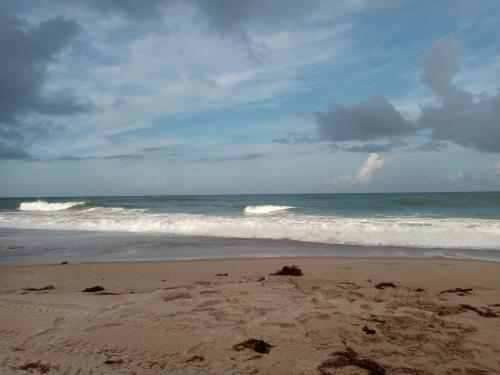 20:38:16 GMT-0500 (EST)