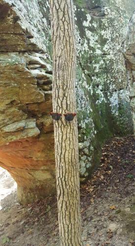 10:08:40 GMT-0600 (CST)