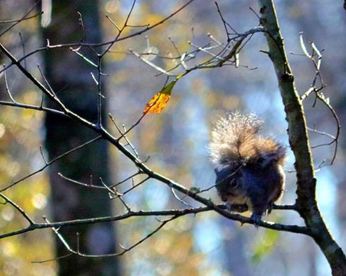 09:51:03 GMT-0600 (CST)