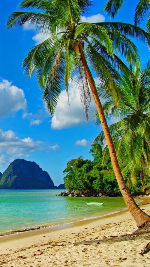 14:05:54 GMT-0500 (EST).image