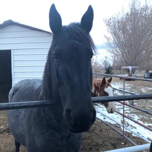 11:02:48 GMT-0500 (EST).image