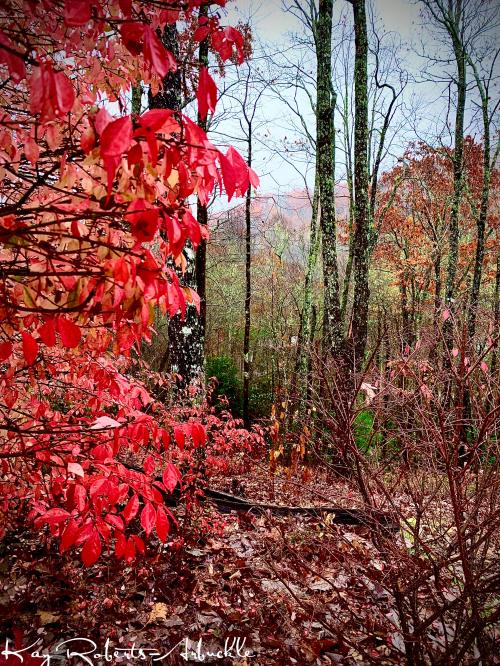 20:05:36 GMT-0500 (EST).image