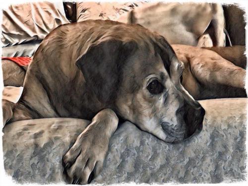 02:08:31 GMT-0600 (CST).image