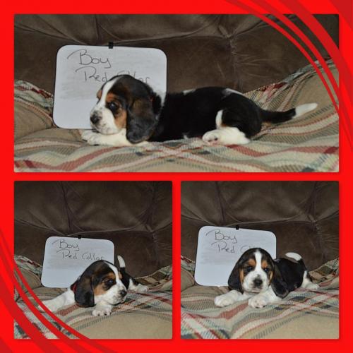 101332629_858808454625401_1023791985707712512_o