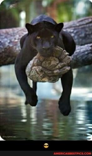 13:36:44 GMT-0600 (CST).image