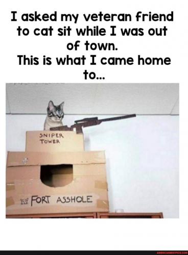 20:16:41 GMT-0600 (CST).image