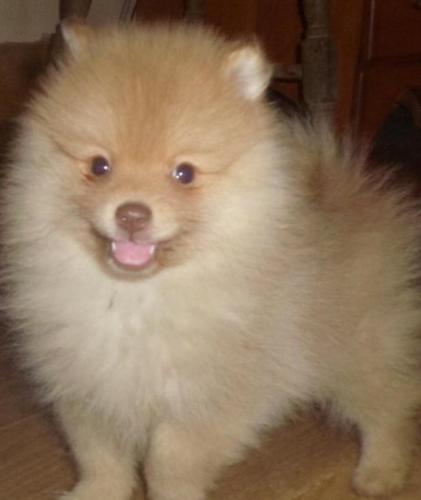 09:05:09 GMT-0500 (EST).image