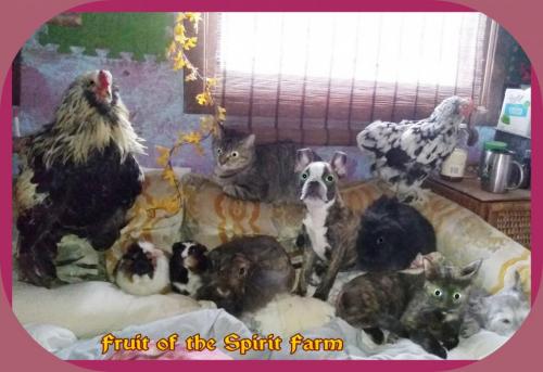 22:25:37 GMT-0600 (CST)