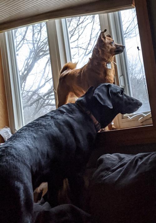 20:51:47 GMT-0500 (EST)