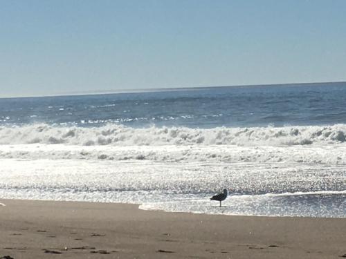 92CB9138-ECBF-493B-BA66-5B6589E2F844