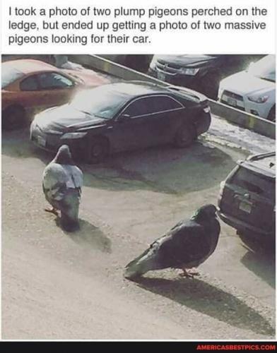 20:17:46 GMT-0600 (CST).image