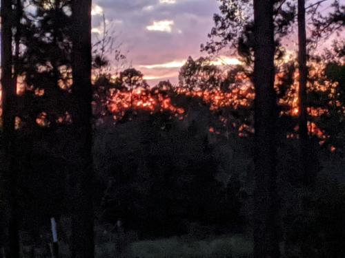 14:42:00 GMT-0500 (EST)