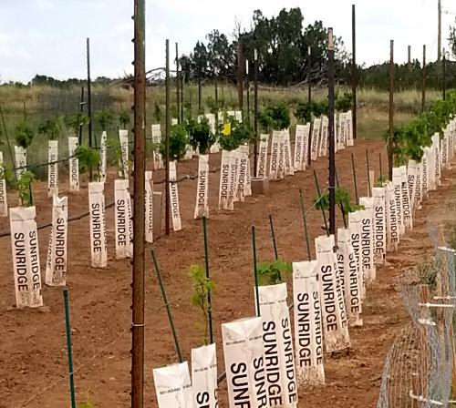 21:14:42 GMT-0700 (MST)