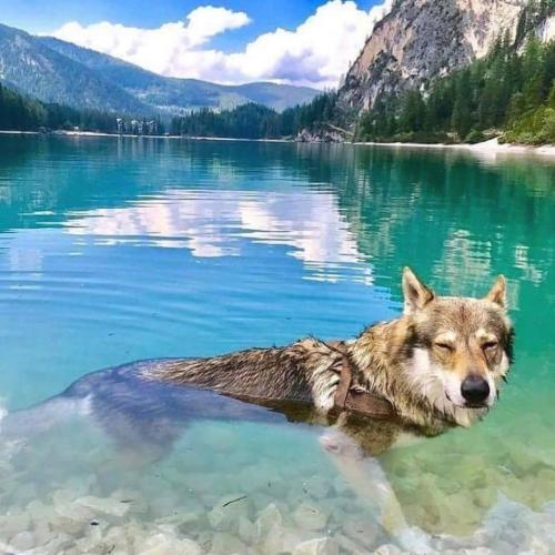 125165056_194762818884419_4932728651796926645_o