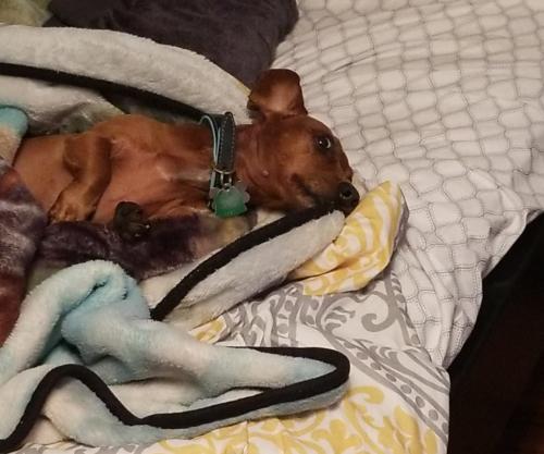 15:50:21 GMT-0500 (EST)