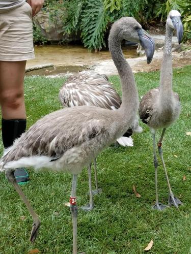 15:33:45 GMT-0800 (PST)