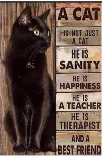 19:51:45 GMT-0600 (CST)