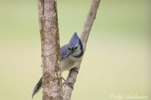 21:30:18 GMT-0600 (CST)