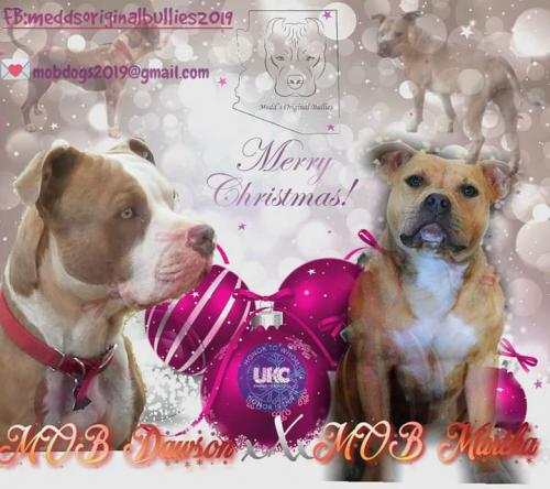 18:36:37 GMT-0700 (MST)