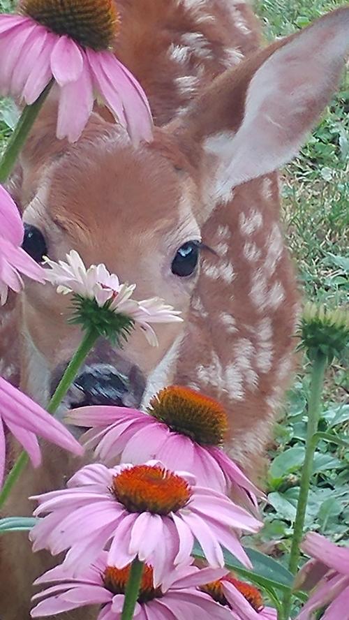 21:04:33 GMT-0500 (EST)