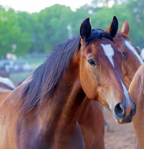 21:22:49 GMT-0600 (CST)