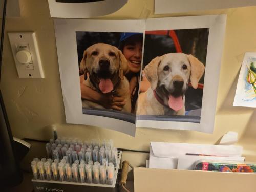 09:15:28 GMT-0700 (MST)