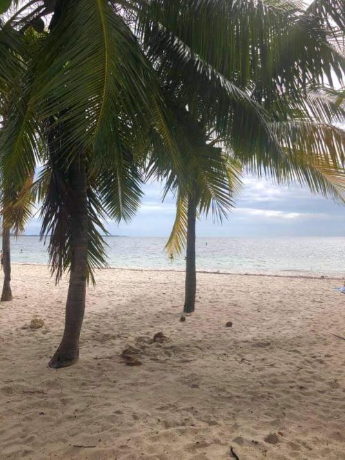 06:47:39 GMT+0100 (WAT)