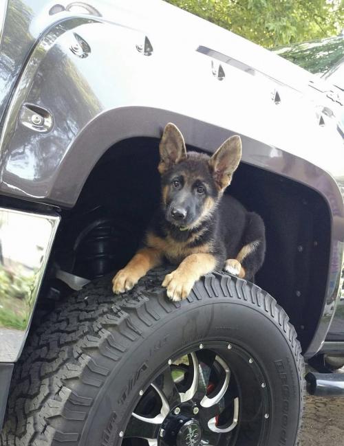 10:14:55 GMT-0500 (EST).image