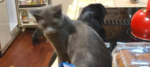 08:59:38 GMT-0800 (PST)