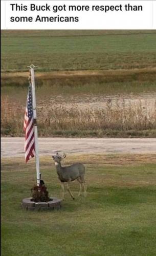 3e08b4c9f1aa7c2f8ef30238321b4838