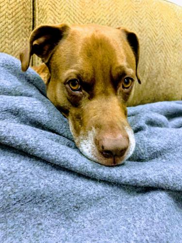 05:42:45 GMT-0600 (CST).image